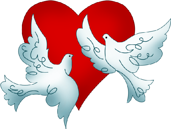 Download Wedding Couple Dove For Wedding Png Image With No Background Pngkey Com