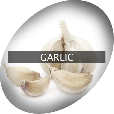 Landingimage Igrow Garlic - Garlic (480x480), Png Download