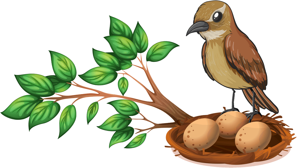 Lenid Day Care - Bird Nest On Tree Clipart (1000x568), Png Download