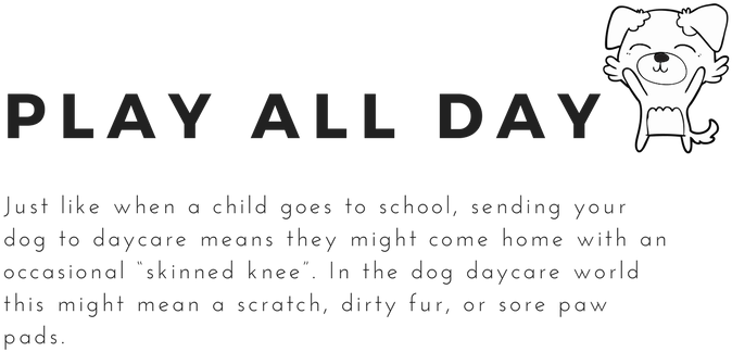 2 1 (800x800), Png Download