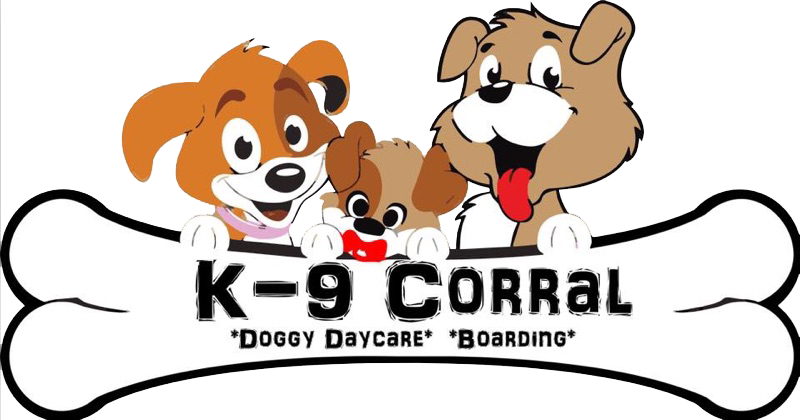 K-9 Corral Dog Your Pets One Stop Shop (800x420), Png Download