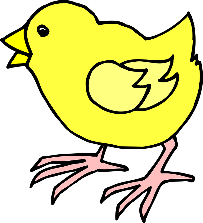 Download Chick Clipart Baby Chick - Cartoon Image Of Chick PNG Image with  No Background 