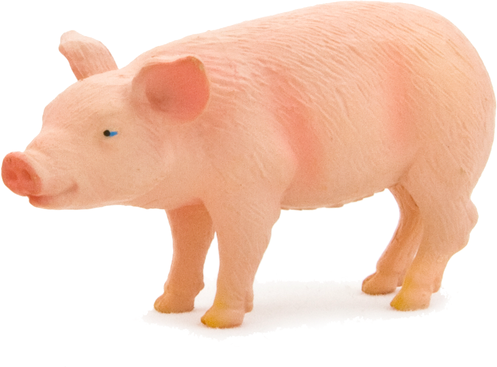 Animal Planet Piglet - Imagens De Animais Porco (1088x825), Png Download