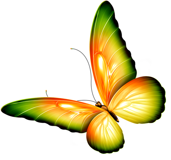 Clipart Flowers And Butterflies Border (600x555), Png Download