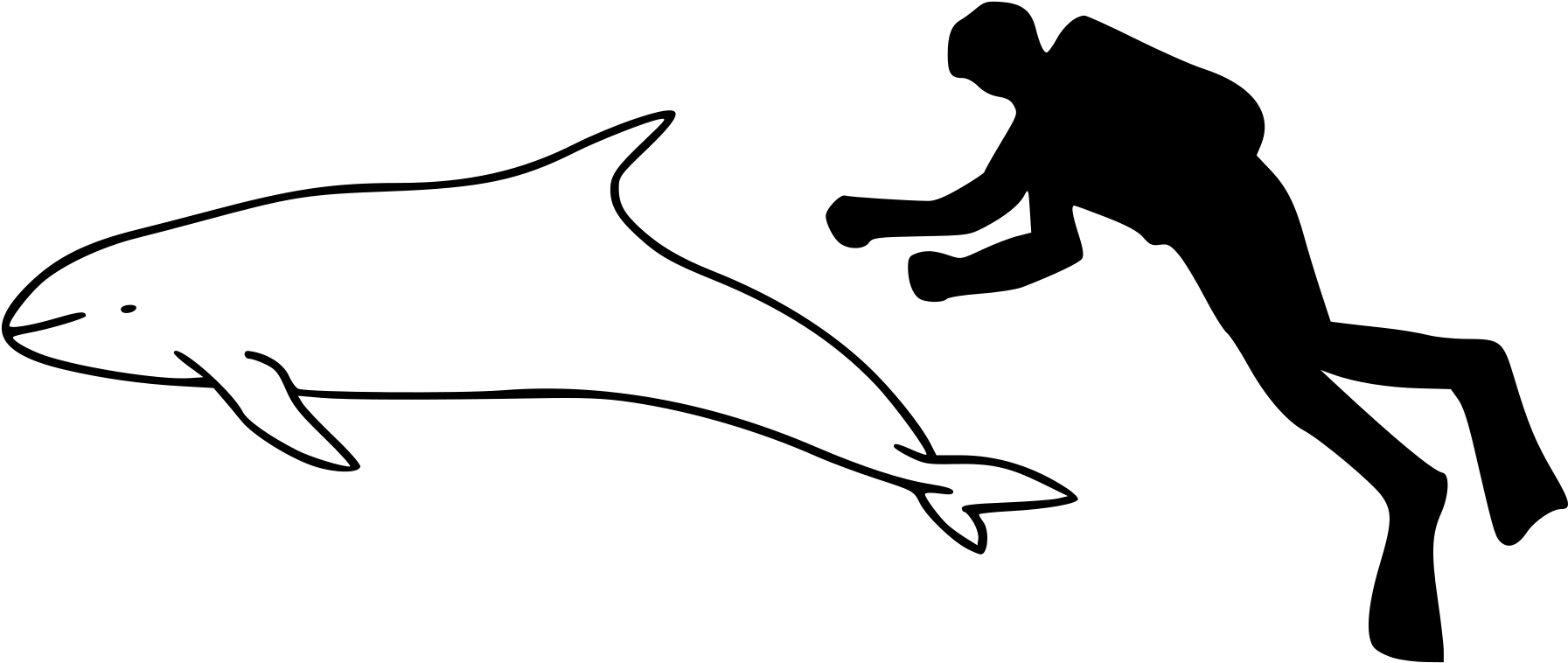 Open - Ganges River Dolphin Outline (2000x895), Png Download