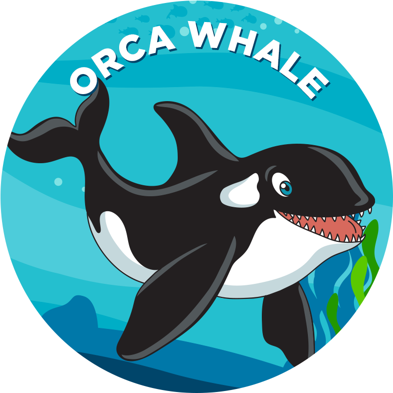 Orca Whale - Narwhal (800x800), Png Download