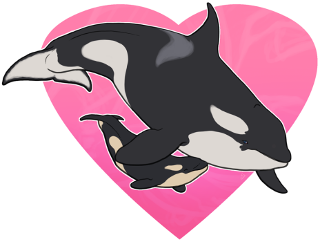 Tumblr Njsyal1jbt1r2elf0o1 500 - Whales (500x379), Png Download