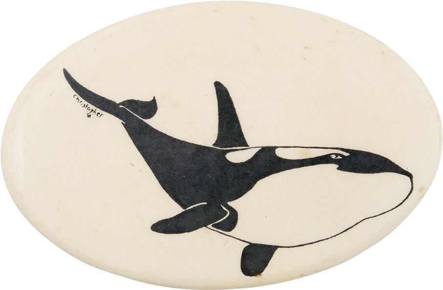 Orca Whale - Killer Whale (1000x671), Png Download