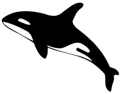 Killer Whale Transparent Images Png - Killer Whale Silhouette Png (500x500), Png Download