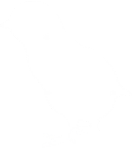 2018 Chick Season - Wood Thrush (400x400), Png Download