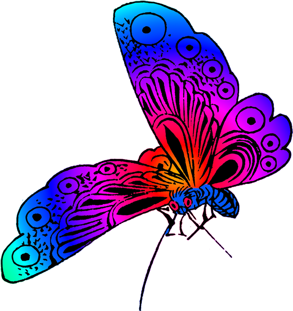 Colorful Beautiful Butterfly Images, Purple Butterfly - Beautiful Butterfly Clipart Png (640x650), Png Download