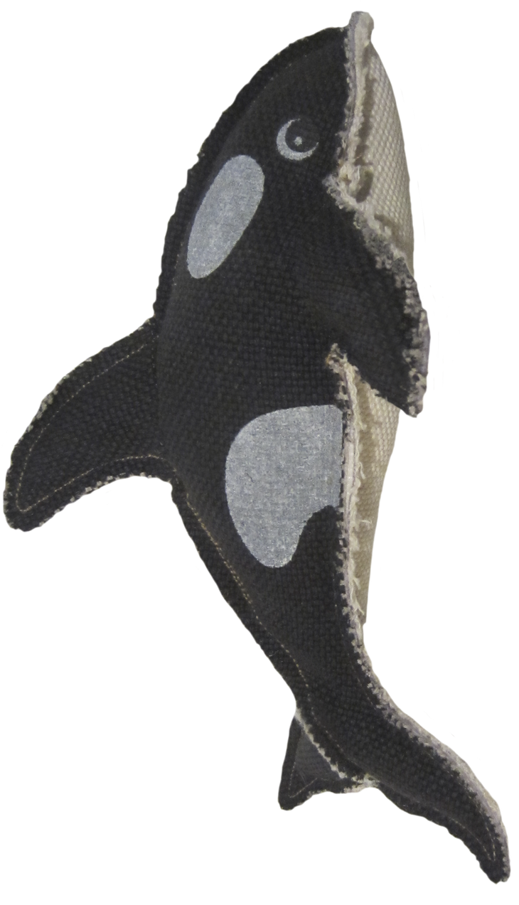 Shark (1155x1400), Png Download