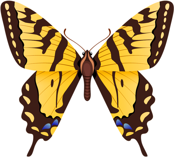 Butterfly Png Clipart Image - Tiger Swallowtail Butterfly (600x544), Png Download