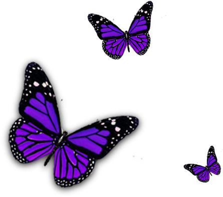 Go Back > Pix For Purple Butterfly Png Clipart - Purple Butterfly Transparent Background (445x393), Png Download