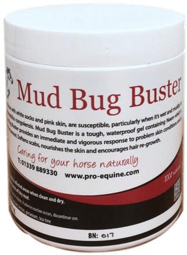 Mud Bug Buster - Horse (481x557), Png Download