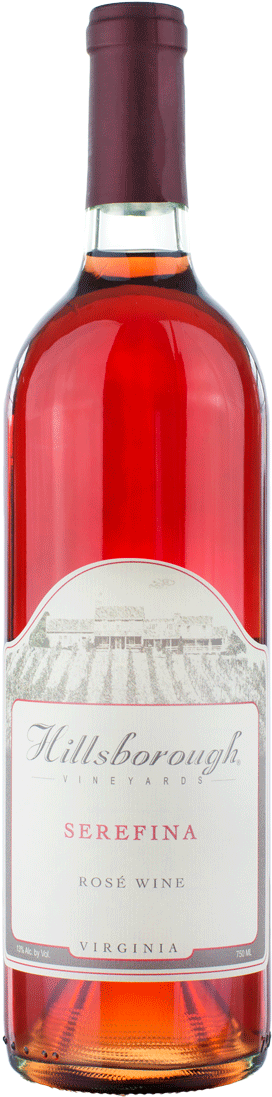 Skateboard Deck (280x1104), Png Download