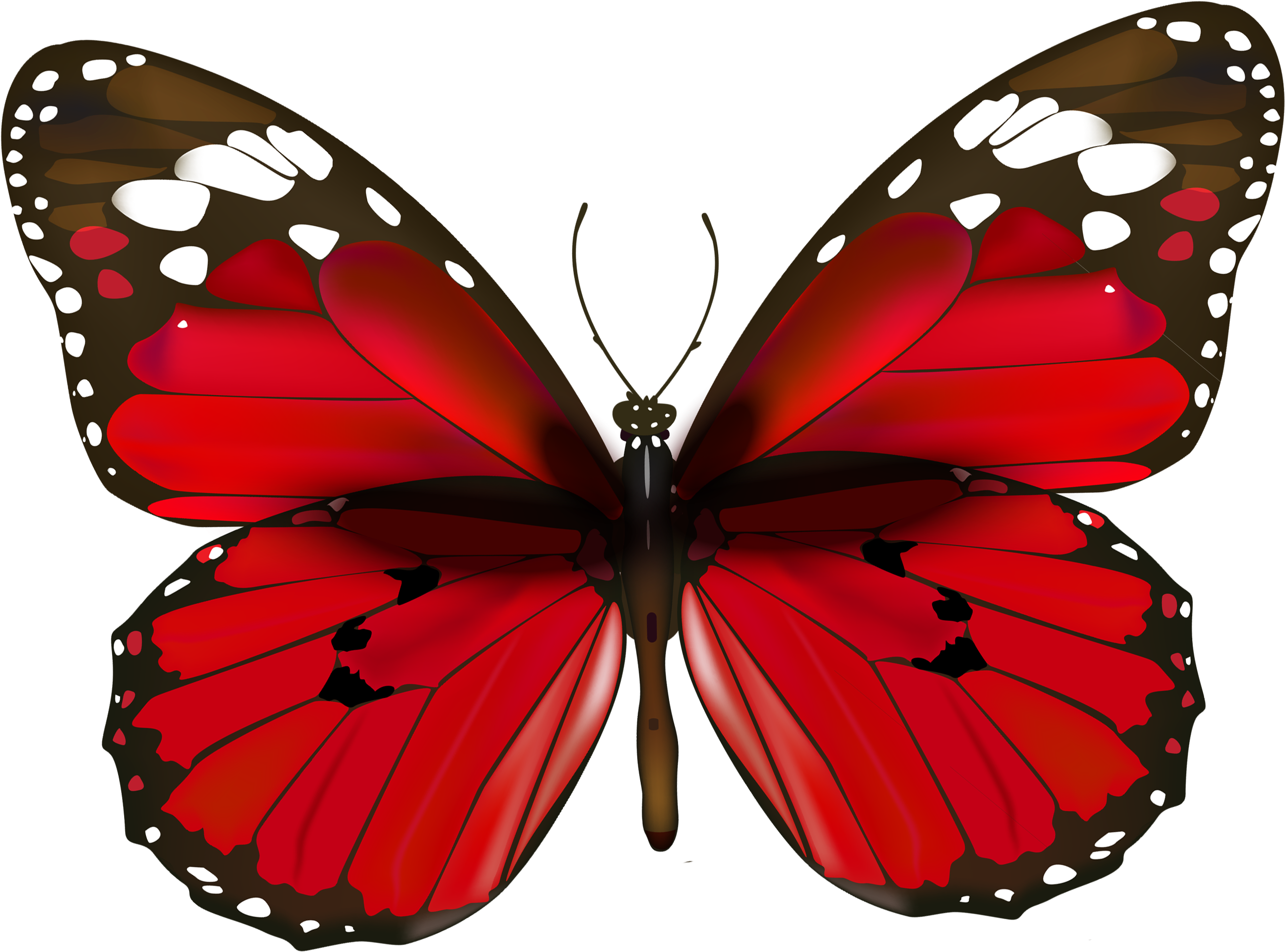Butterfly Png Clipart (2704x2090), Png Download