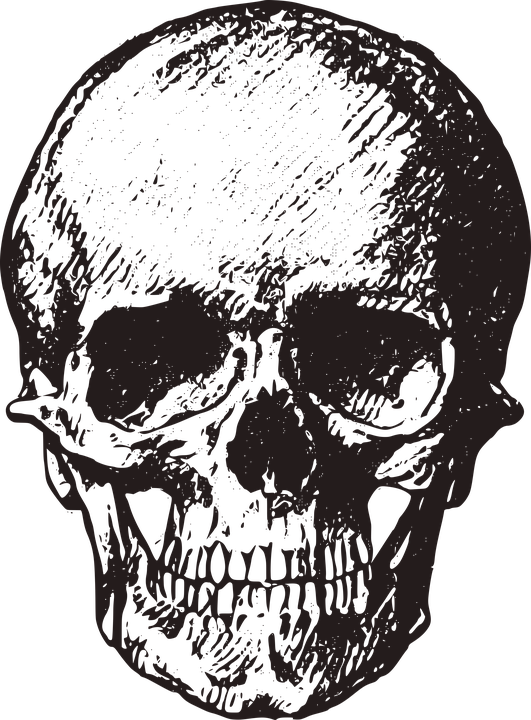 Skull, Vintage, Old, Horror, Macabre, Death, Halloween - Skull Sketch Book [book] (531x720), Png Download