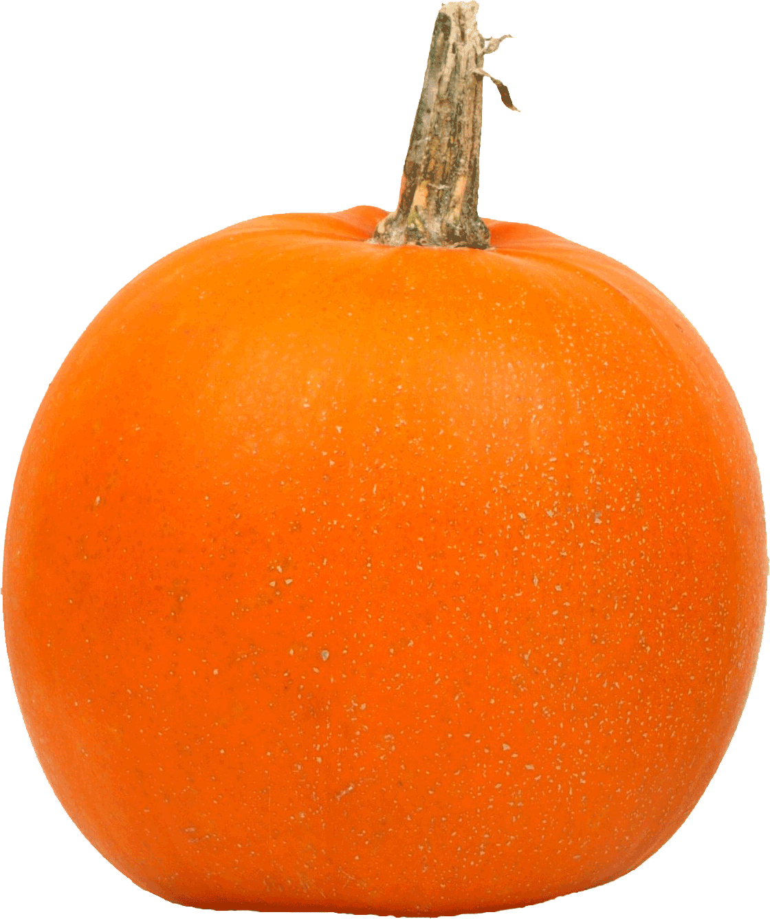 All Png Images Have A Transparent Background So They're - Pumpkins In A Row (1120x1336), Png Download