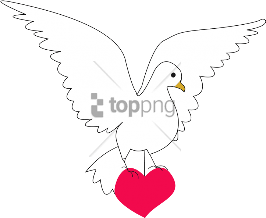 Dove, Heart, Amour, Love, Peace, Symbol - Paloma De La Paz Y Amor (640x525), Png Download