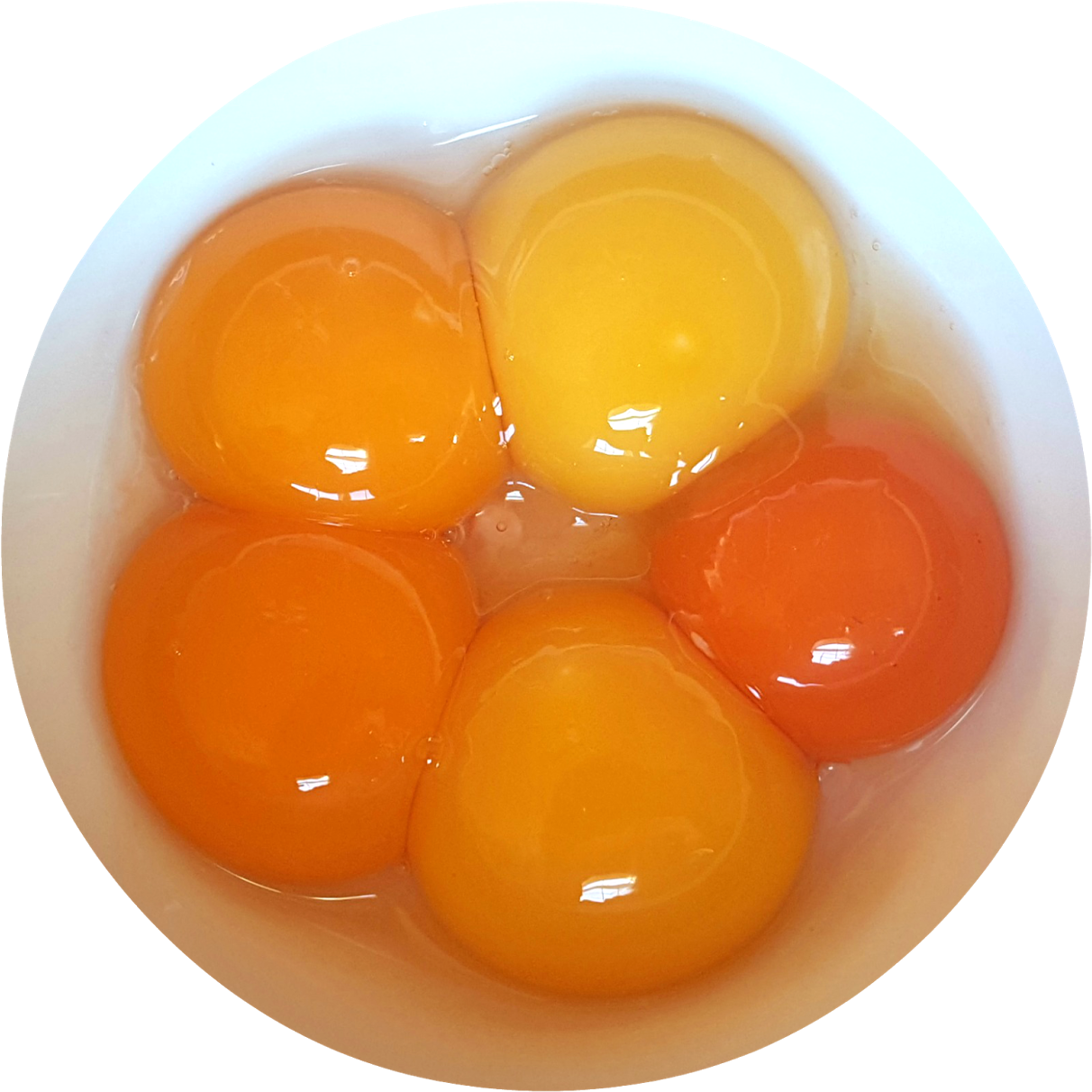 Are Fresh Eggs Really - Full Breakfast (1600x1326), Png Download