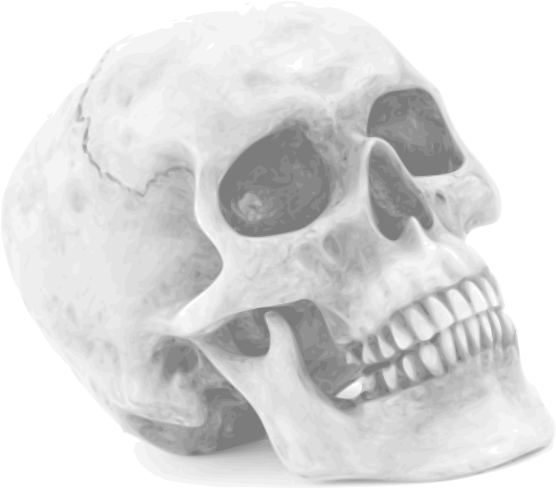Skull Halloween Skull - Halloween Skull Shower Curtain (573x499), Png Download