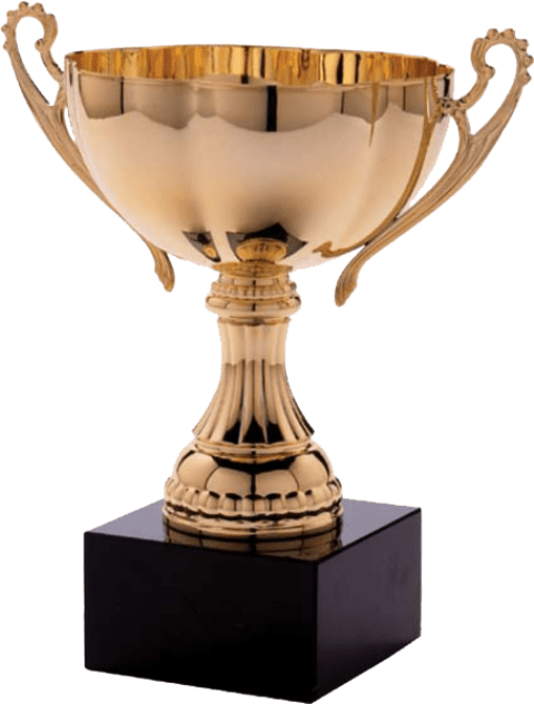 Free Png Trophy Png Images Transparent - Dickhead Of The Year (480x633), Png Download