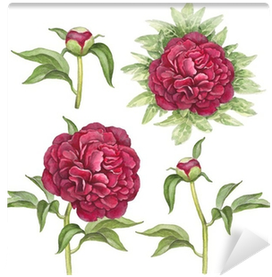 Watercolor Illustration Of Peony Flowers Wall Mural - Gigant.pl Torebka Upominkowa Kr 1424 M (400x400), Png Download