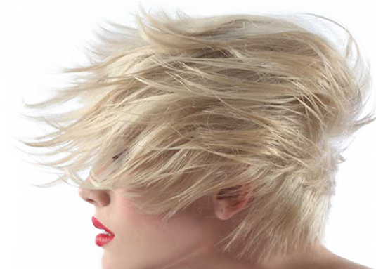 Spring Hair Salon (543x382), Png Download