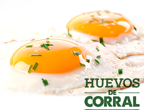 Eggs And Nutrition - Fried Eggs (493x378), Png Download