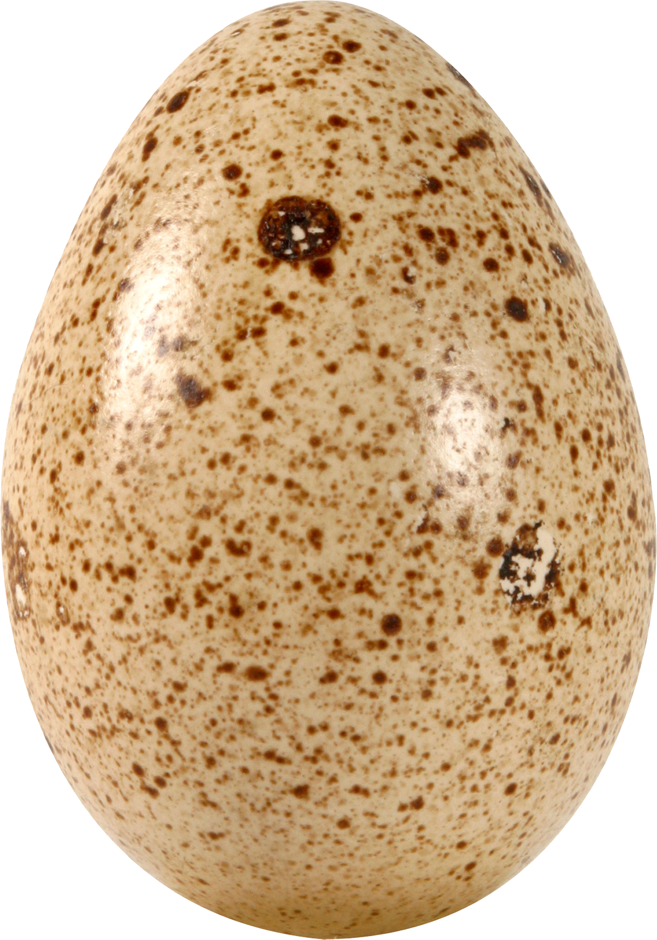 Png Egg (1343x1923), Png Download
