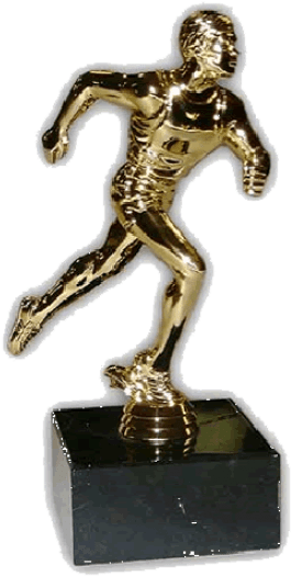 Free Png Trophy Png Images Transparent - Portable Network Graphics (480x551), Png Download