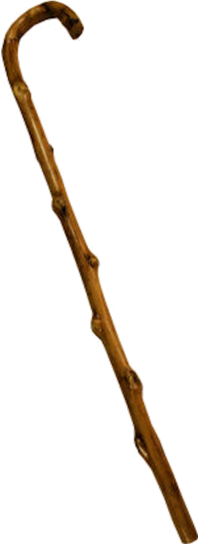 Source - Img - Joke - Co - Uk - Report - Crutches Png - Twig (500x793), Png Download