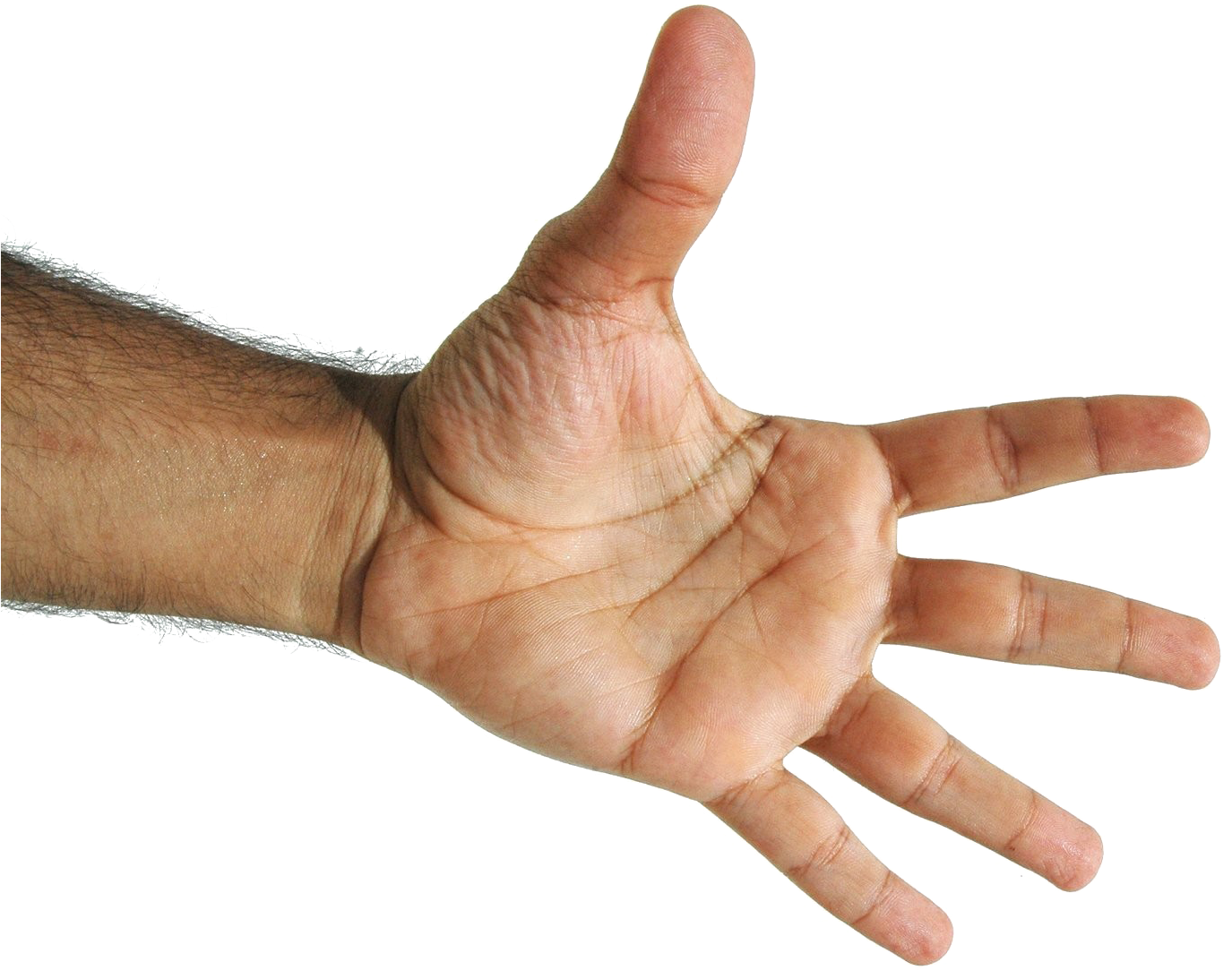 Fingers Png Free Background - Mao 5 Dedos (1390x1200), Png Download