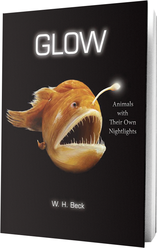Glow Book On Transparent Background - Glow Animals With Their Own Night Lights (532x813), Png Download