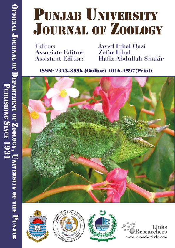 Dilute Sulphuric Acid Pretreatment Optimization Of - Government Of Pakistan (595x842), Png Download