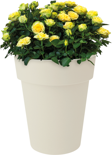 Home > Collection > Green Basics Top Planter High - Flowerpot (750x750), Png Download