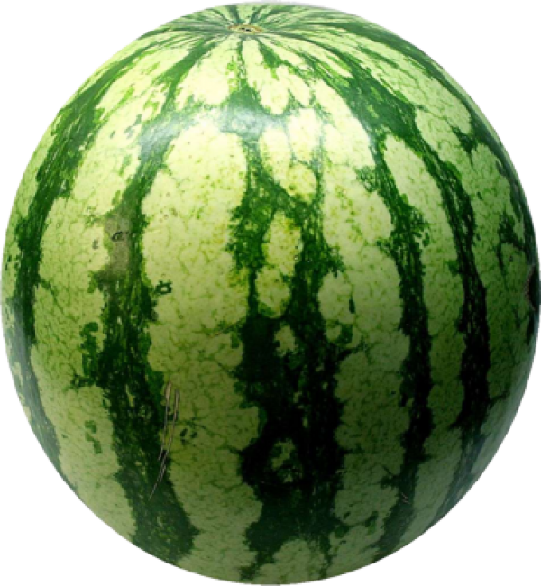 Watermelon Png Free Download - Water Melon Fruit (600x650), Png Download