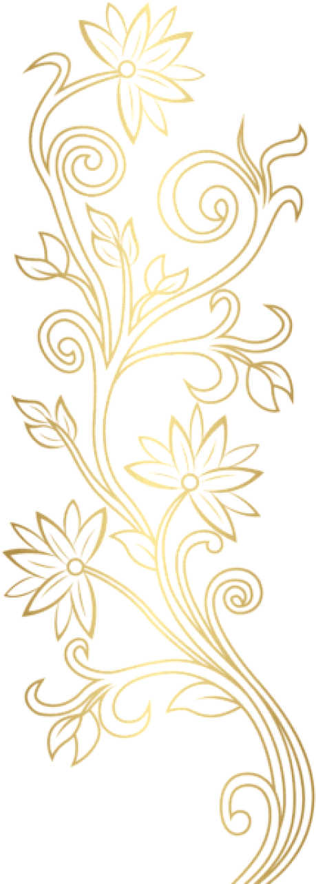 Free Png Download Gold Floral Decoration Clipart Png - Floral Design (480x1286), Png Download