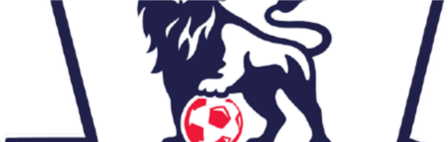 Beating The Fantasy Premier League Game With Python - Soccer Logo With Lion (1600x480), Png Download
