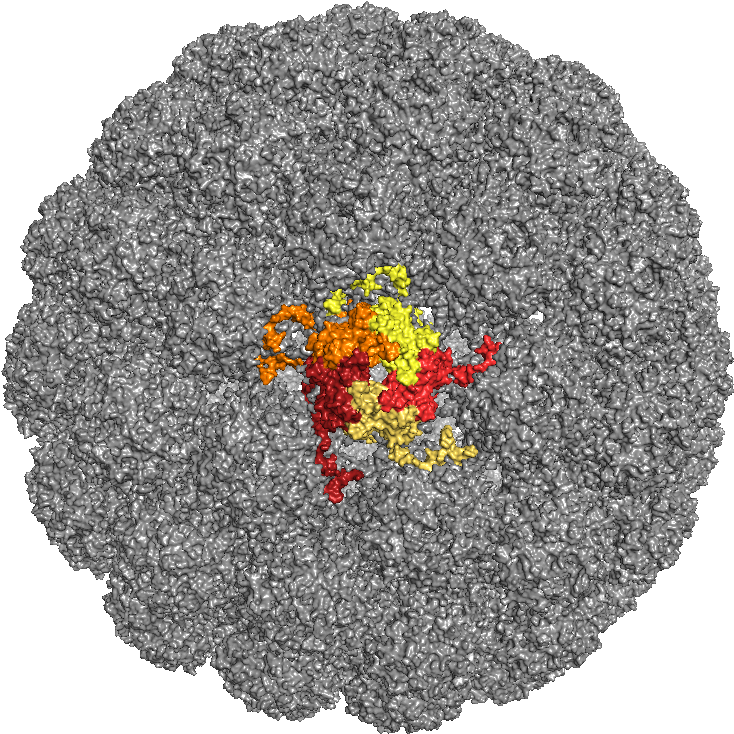 Mpyv Alpha - Crochet (800x800), Png Download