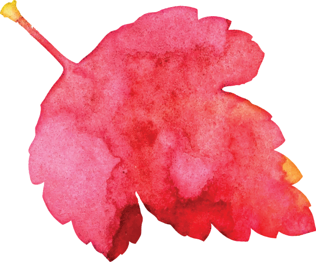 Leaf Pink Brush - Illustration (625x520), Png Download