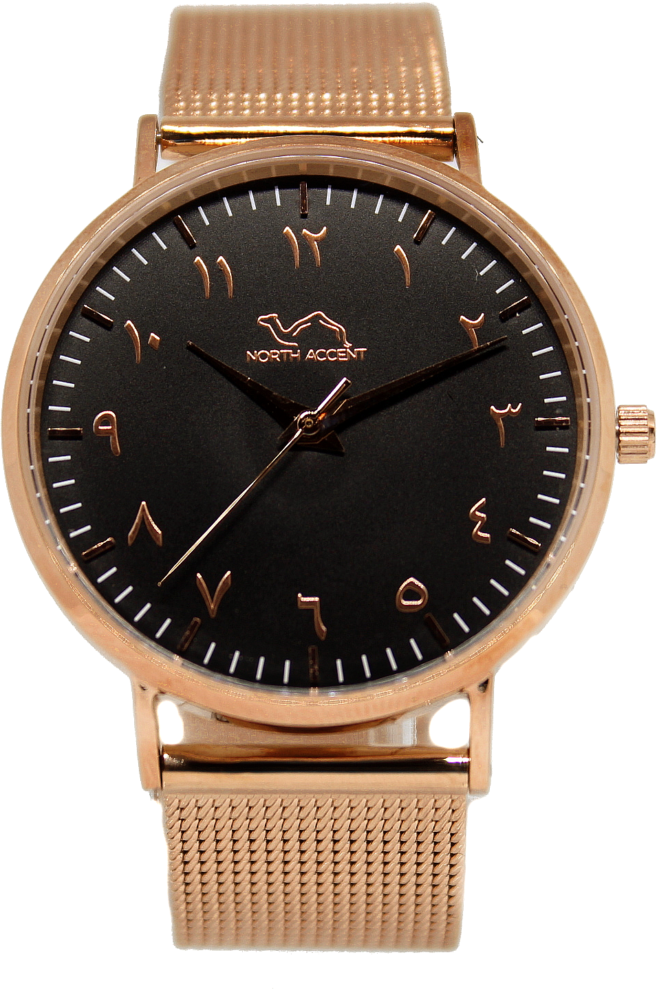 Rose Gold Stainless Steel - Orologio Daniel Wellington Donne (1668x1536), Png Download