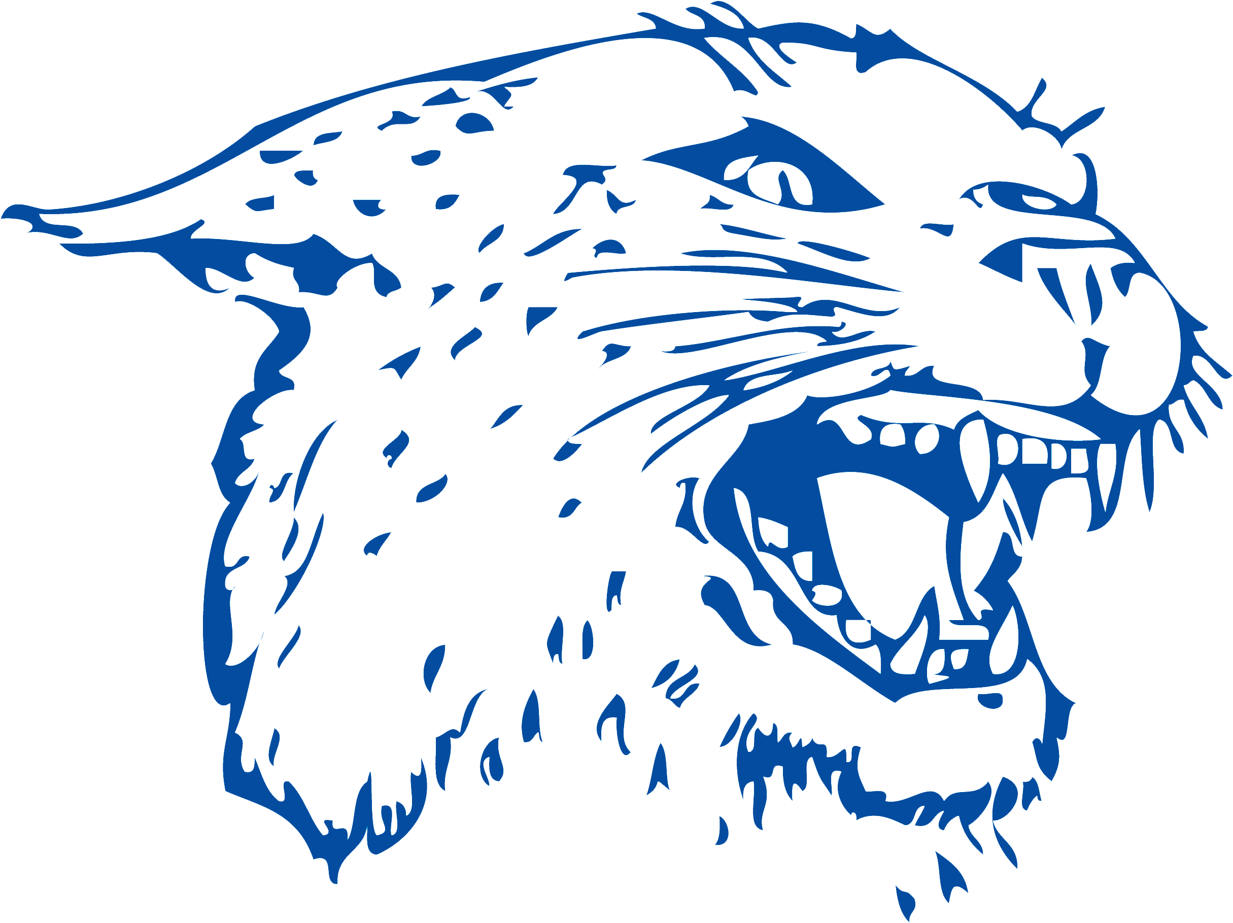 Colton School District - Colton Wildcats (2540x1854), Png Download
