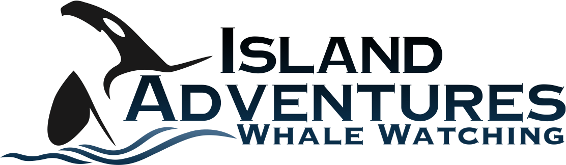 Newest Fastest Safest Vessel In Washington State Island - Island Adventures Whale Watching (1112x334), Png Download
