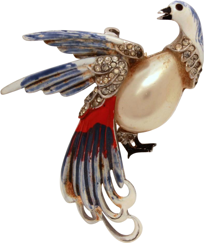 1940s Bird Of Paradise Pin Red White Blue Cold Enamel - Peafowl (931x931), Png Download