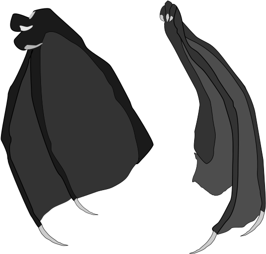 Dragon Wings Vector Stock Blk - Illustration (650x550), Png Download