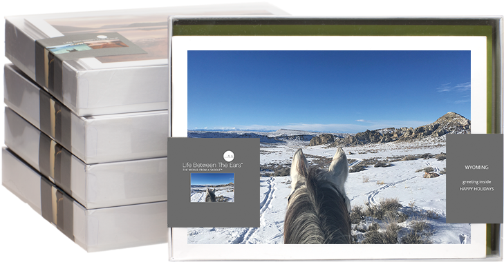 Holiday Cards (750x416), Png Download