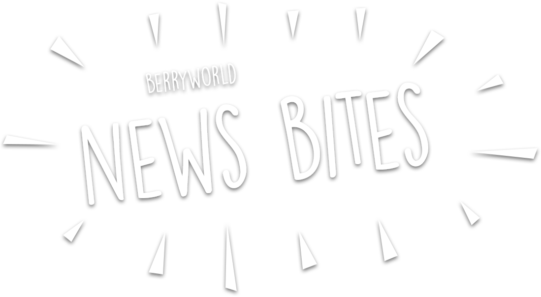 Blueberry Day Recipe Galore - Calligraphy (1120x620), Png Download