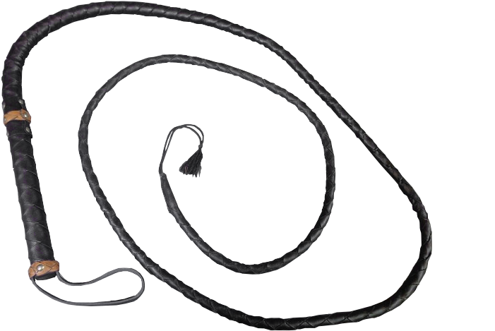Whip Png (800x600), Png Download
